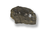 M 04832
<br/>
<br/>
<em></em>